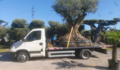 Location de bennes pour livraison arbustes pour jardin particulier à Valence